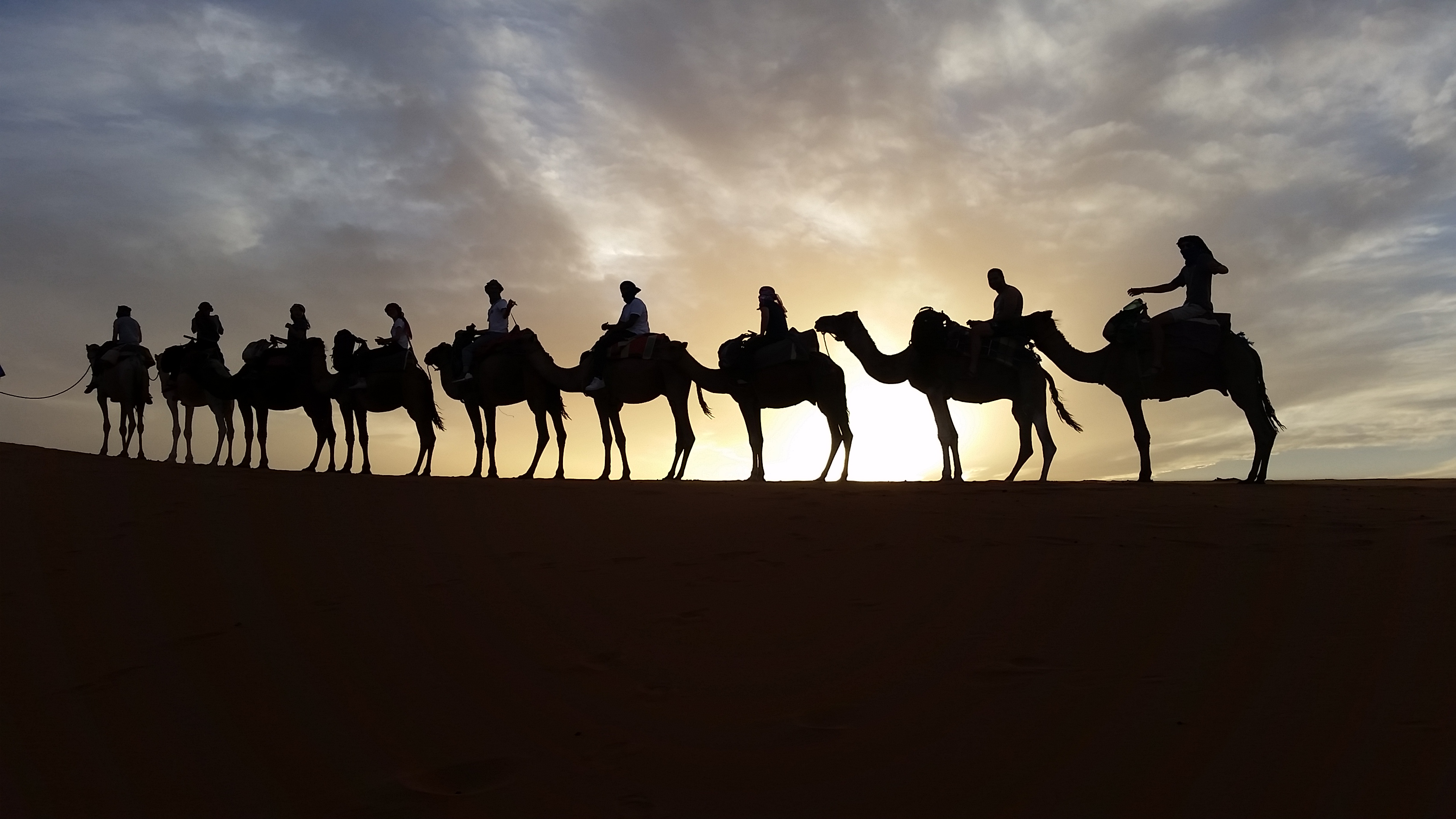 students on camels in morocco